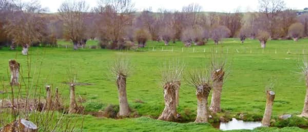 Finca rústica de 150 ha en venta en Segovia