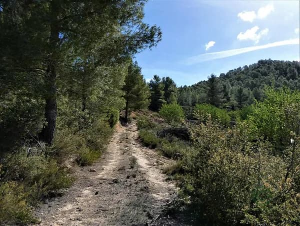 Finca rústica de 12,42 ha en venta en Teruel