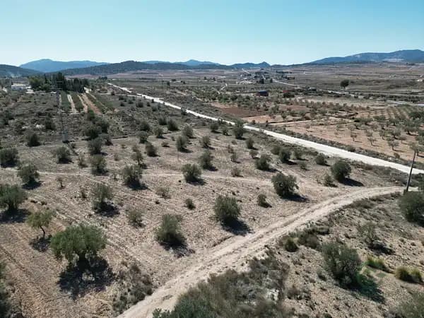 Finca rústica de 0,43 ha en venta en Pinoso, Alicante