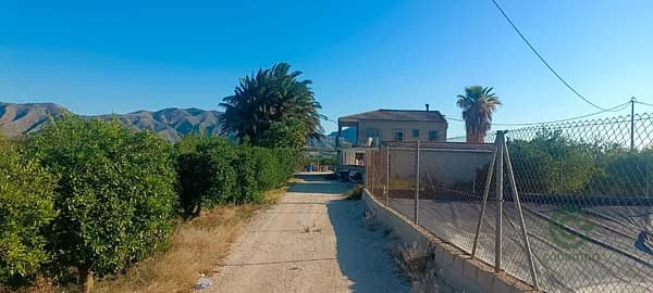 Finca agrícola de 6,1643 ha en venta en Benferri, Alicante