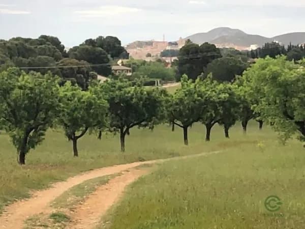 Finca rústica de 2,5 ha en venta en Hellin, Albacete