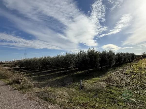 Finca rústica de 0,128 ha en venta en Santa amalia, Badajoz