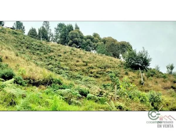 Terreno urbano de 0,265 ha en venta en Antioquia