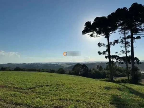 Fazenda rustica de 2 ha para venda em Paraná