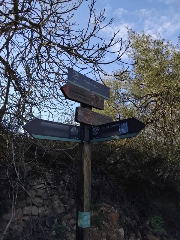 Finca rústica de 0,5658 ha en venta en Vall d'alba, Castellon