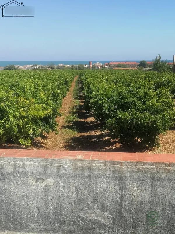 Finca rústica de 0,6 ha en venta en Alcanar, Tarragona