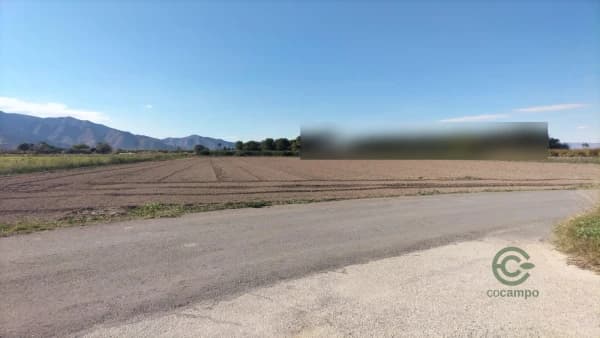 Finca agrícola de 0,7386 ha en venta en Granja de rocamora, Alicante
