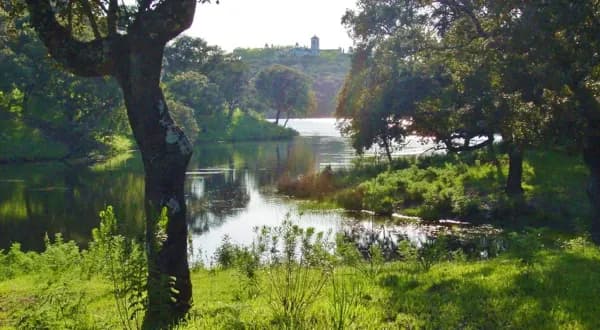 Finca rústica de 600 ha en venta en Córdoba