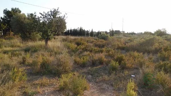 Finca rústica de 1,2 ha en venta en Perleta, Alicante