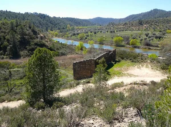 Finca rústica de 0,88 ha en venta en Tarragona