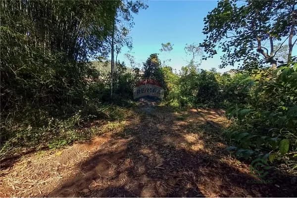 Fazenda agrícola de 2,15 ha para venda em Minas gerais