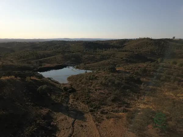 Finca rústica de 80 ha en venta en Huelva