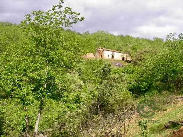 Finca rústica de 60 ha en venta en Huelva