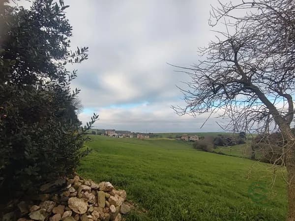 Finca rústica de 0,1 ha en venta en Tapia de casariego, Asturias