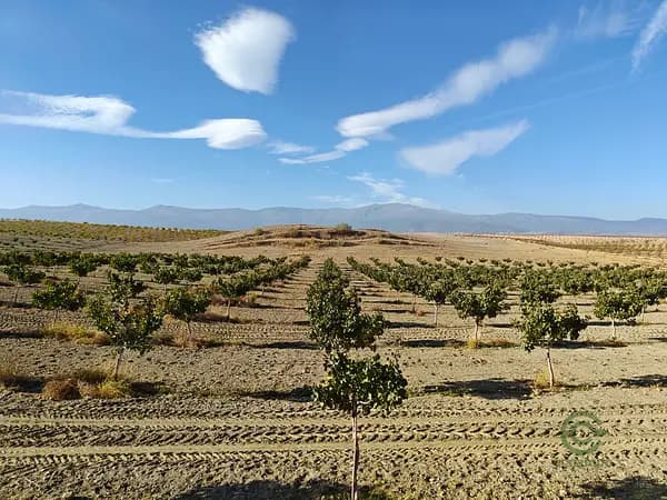 Finca agrícola de 100 ha en venta en Granada
