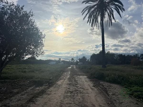 Finca rústica de 0,4 ha en venta en Alicante