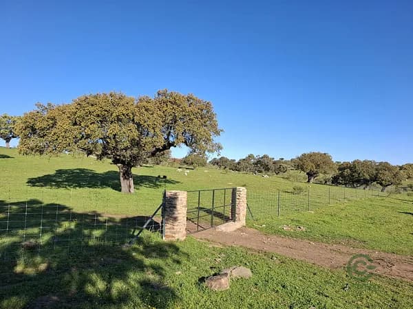 Finca ganadera de 550 ha en venta en Cáceres