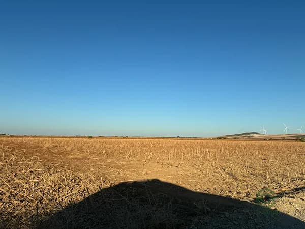 Finca agrícola de 70 ha en venta en Sevilla