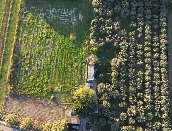 Finca agrícola de 0,99 ha en venta en Barcelona