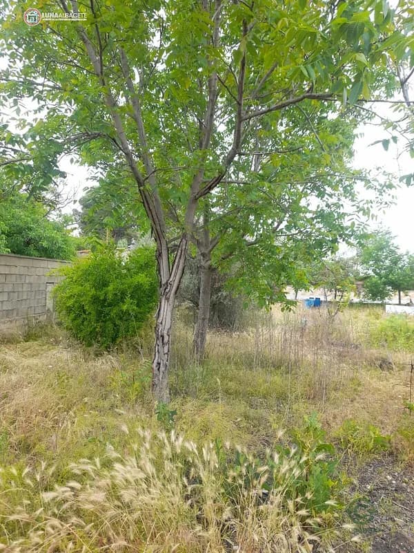 Finca agrícola de 0,16 ha en venta en Albacete, Albacete