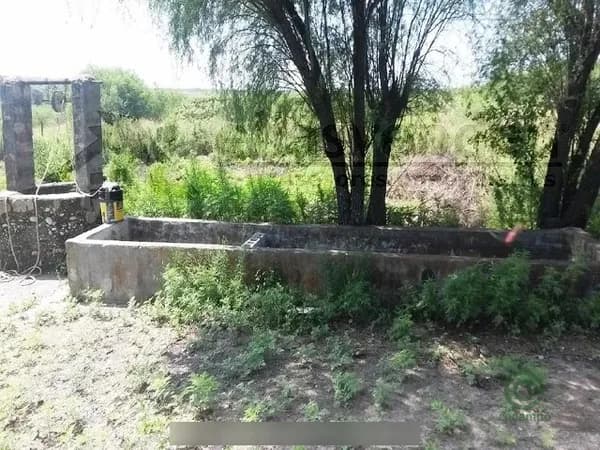 Finca agrícola de 194,85 ha en venta en Nuevo león