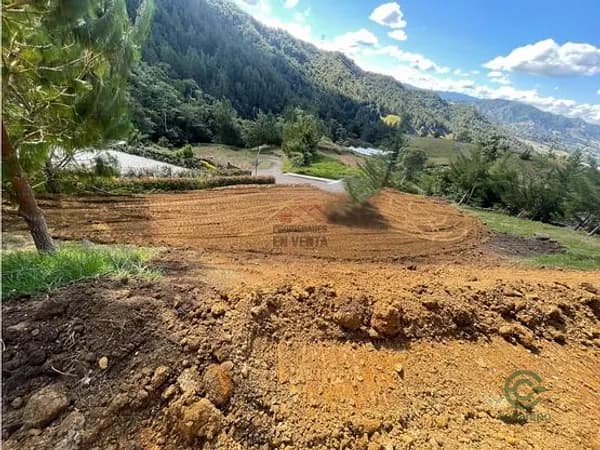 Finca forestal de 0,383 ha en venta en Antioquia