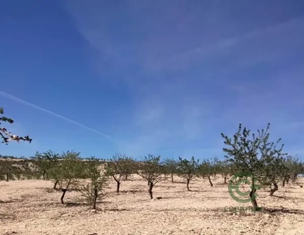 Finca agrícola de 3 ha en venta en Granada