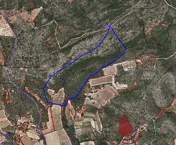 Finca rústica de 10,6224 ha en venta en Tarragona
