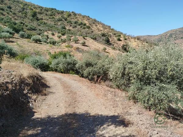 Finca agrícola de 1,4 ha en venta en Totalan, Malaga