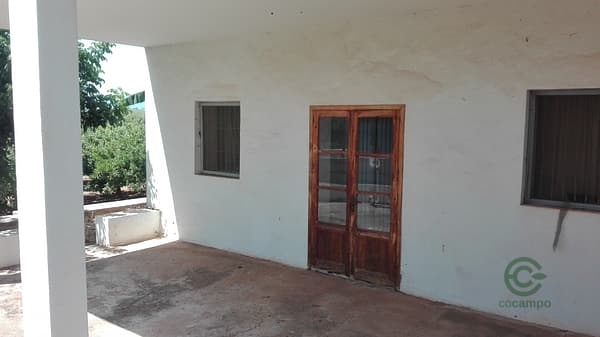 Finca agrícola de 4,9 ha en venta en Castellón