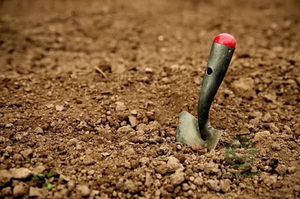 Finca agrícola de 1 ha en venta en Las palmas de gran canaria