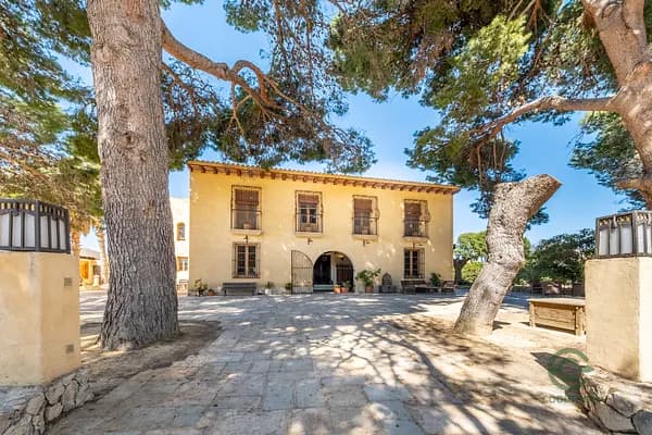Finca rústica de 1,9 ha en venta en Alicante