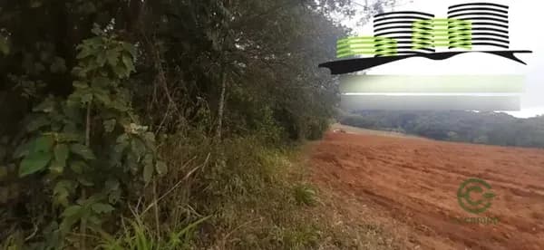 Fazenda florestal de 9,8 ha para venda em São paulo