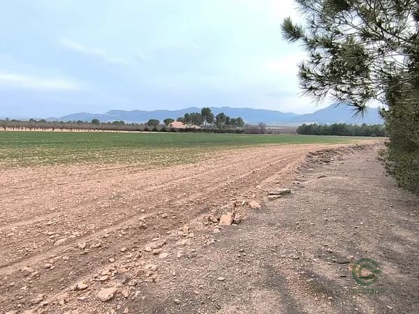 Finca agrícola de 1,9 ha en venta en Yecla, Murcia