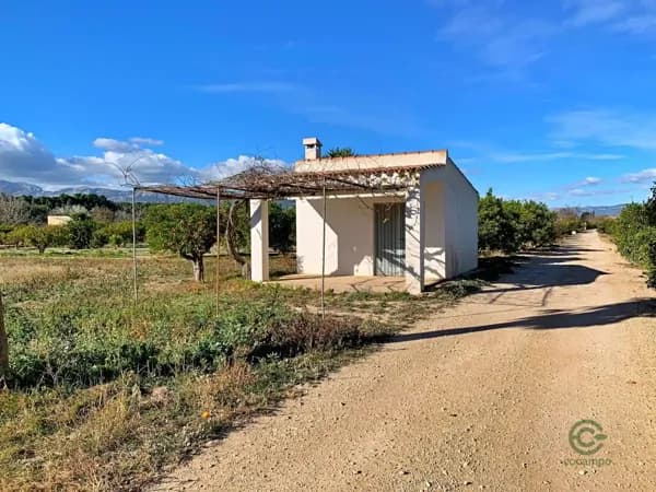 Finca agrícola de 0,22 ha en venta en Tortosa, Tarragona