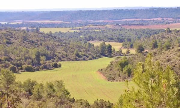 Finca rústica de 2000 ha en venta en Cuenca