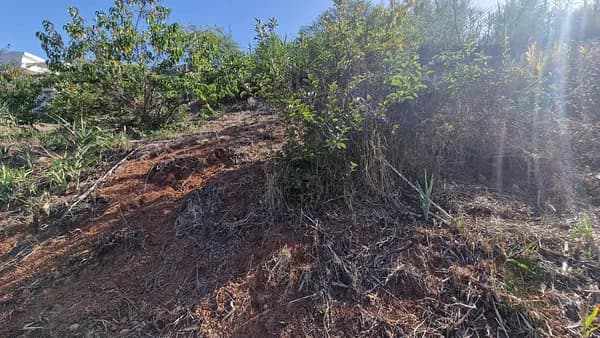 Finca rústica de 0,08 ha en venta en Las palmas de gran canaria