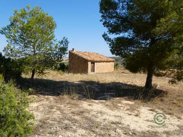 Finca agrícola de 1,72 ha en venta en Maella, Zaragoza