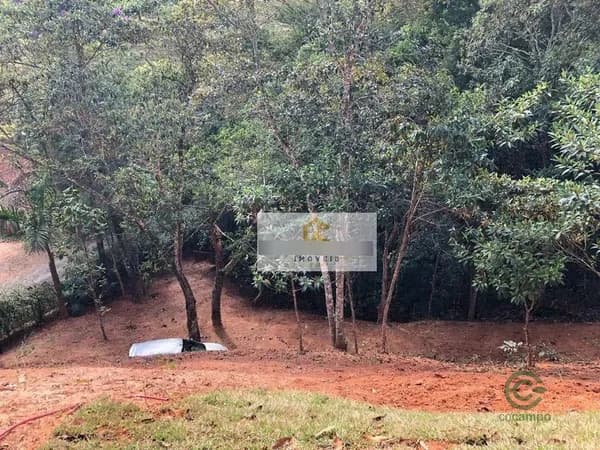 Fazenda rustica de 3 ha para venda em São paulo