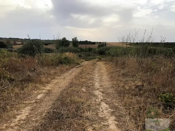 Finca agrícola de 0,6348 ha en venta en Bollullos par del condado, Huelva