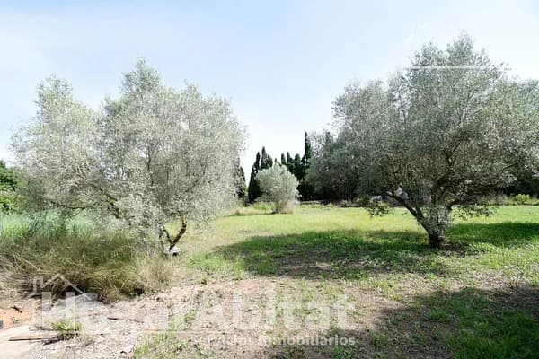 Finca rústica de 0,3177 ha en venta en Nules, Castellon