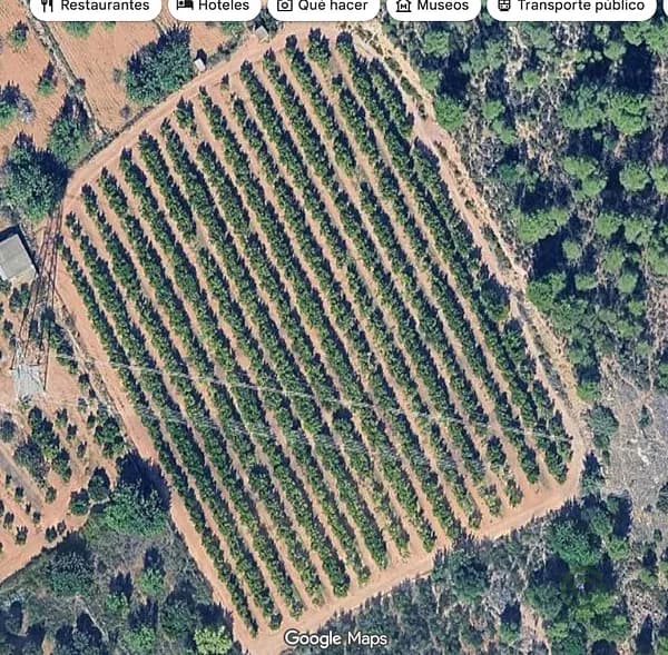 Finca agrícola de 1,0482 ha en venta en Castellón