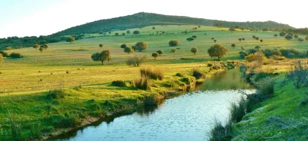 Finca rústica de 400 ha en venta en Cáceres