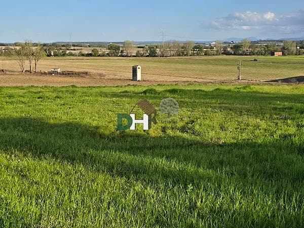 Finca agrícola de 45 ha en venta en Cáceres