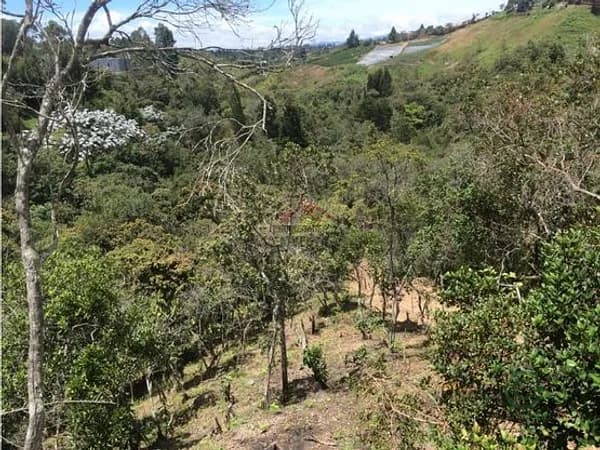 Finca rústica de 0,2604 ha en venta en Antioquia