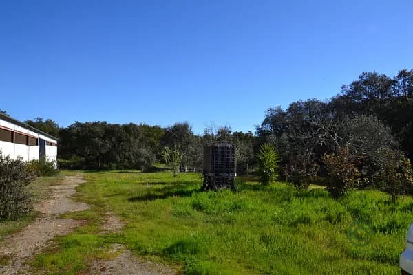 Finca rústica de 0,1629 ha en venta en Segura de leon, Badajoz