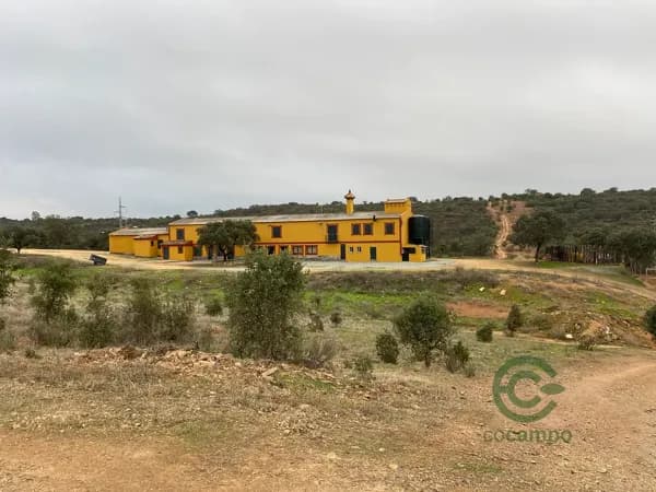 Finca rústica de 1000 ha en venta en Sevilla