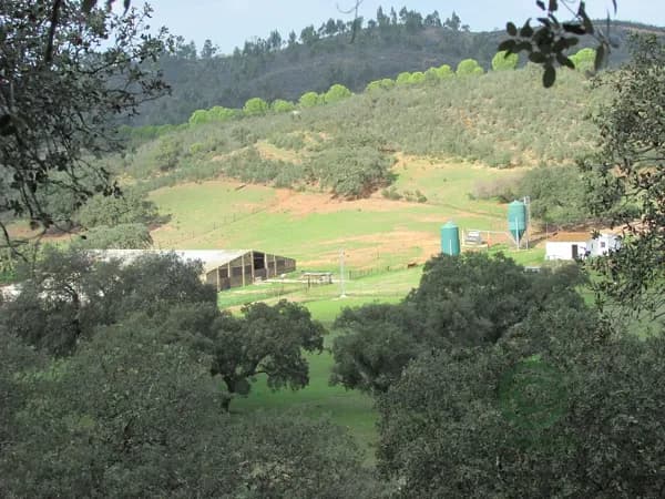 Finca rústica de 80 ha en venta en Huelva