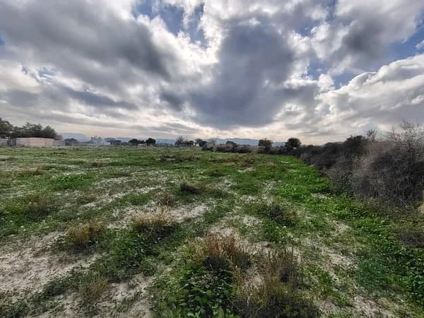 Finca rústica de 0,5 ha en venta en La romana, Alicante