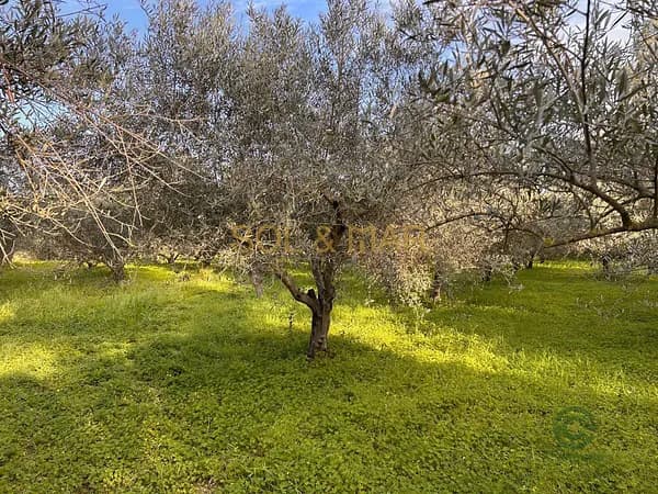 Finca rústica de 0,4717 ha en venta en Málaga